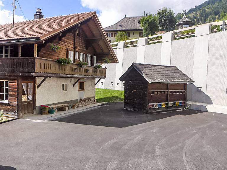 foto19