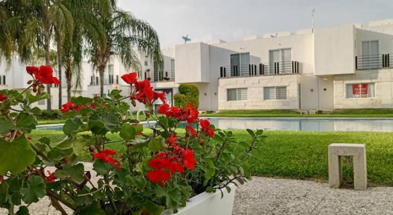 House with pool — photo 3