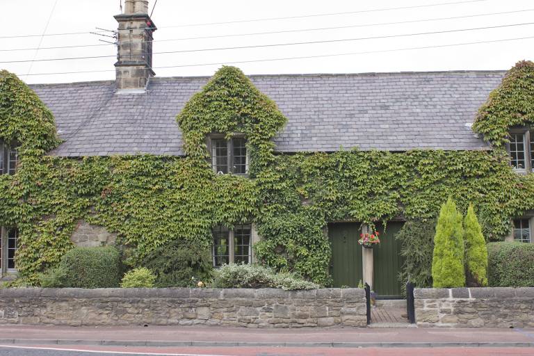 Cottage  North Shields