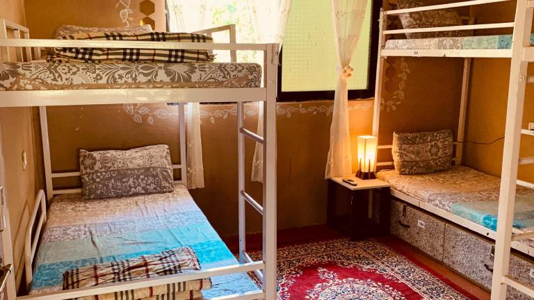 Rootsvilla Hostel Goa — photo 4