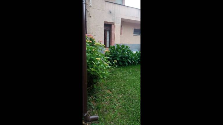 foto38