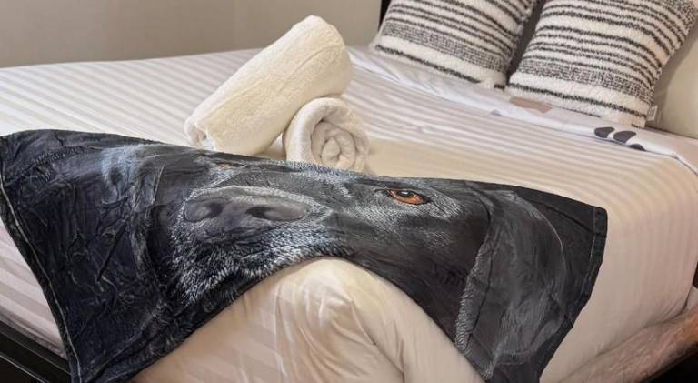 Pleasant house | Pets allowed in Boise, ID