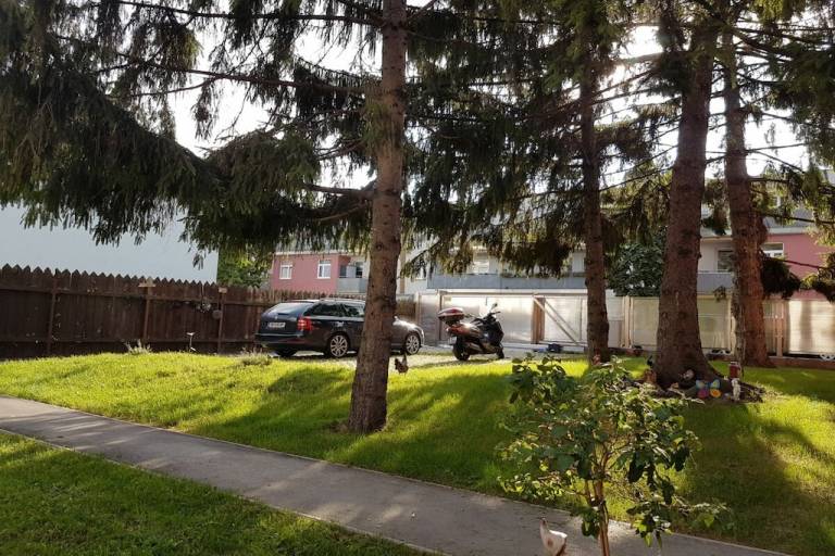 foto1