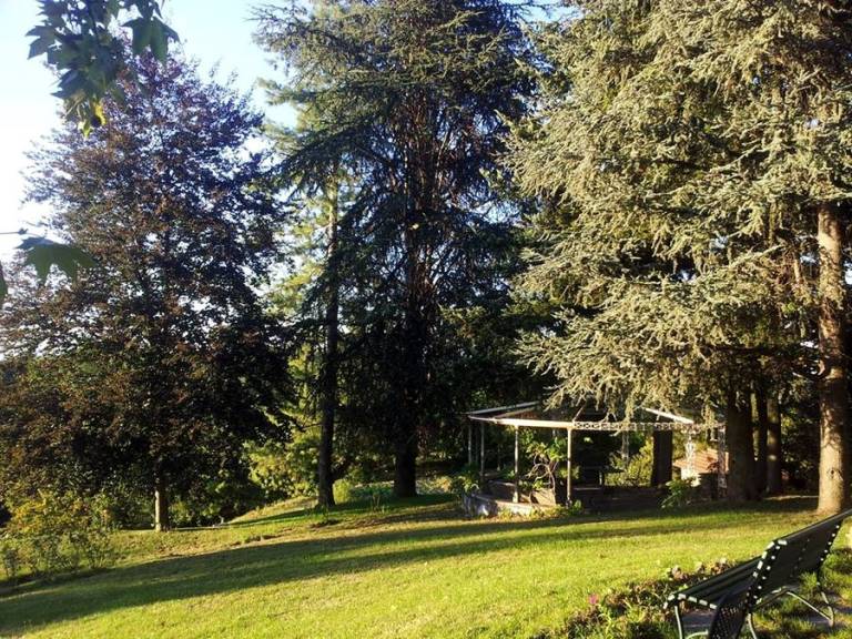 foto41