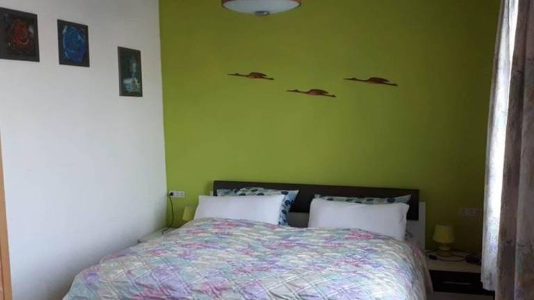 foto5