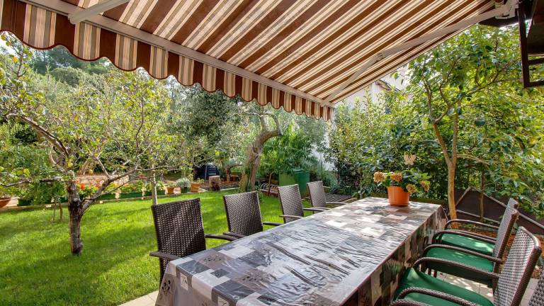 Apartman  Vele Srakane