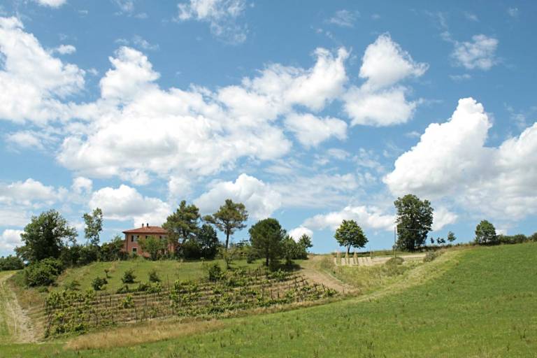 Agriturismo Locanda Della Valle Nuova: Casina dei Tordi — photo 4