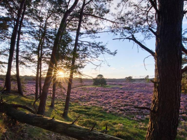 foto23