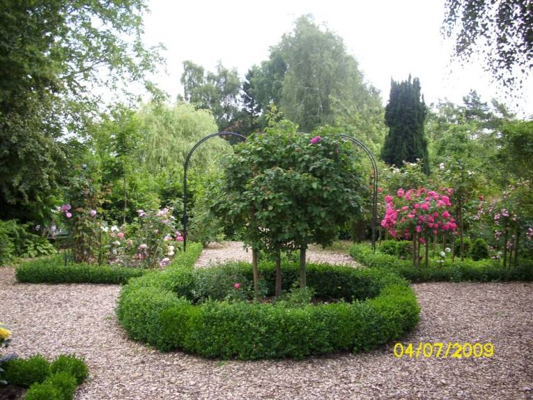 foto18