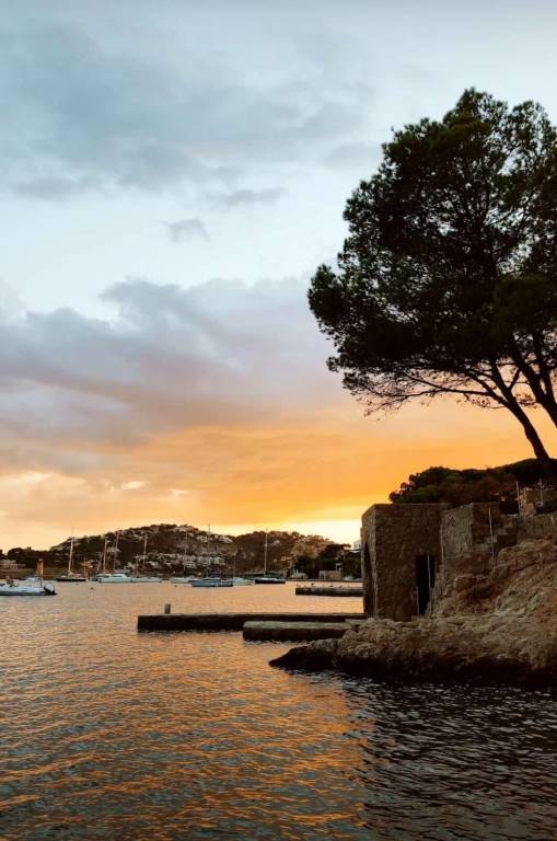 Maison de vacances Andratx