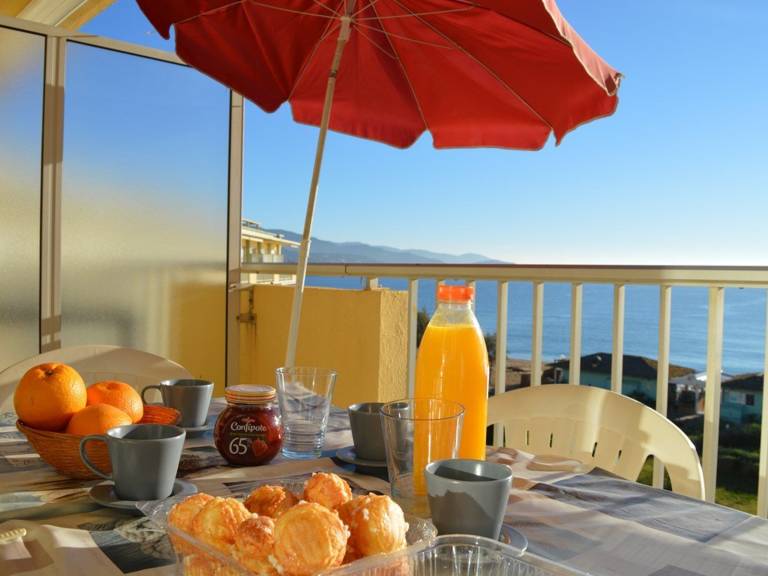 Studio for 4 with Terrace on the Beach in Le Lavandou — photo 3