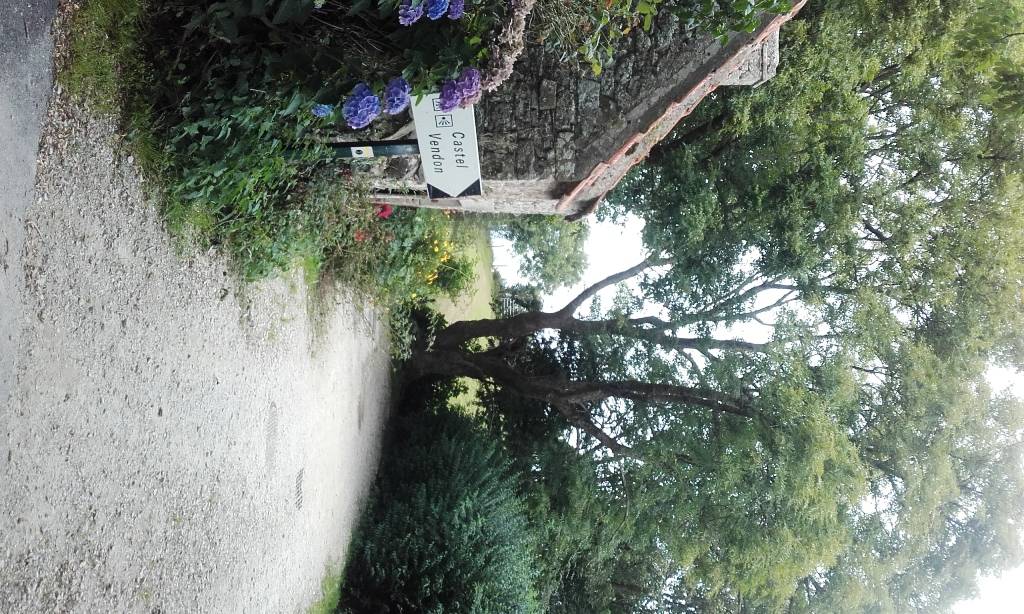 foto16
