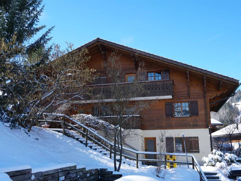 Appartement Zweisimmen