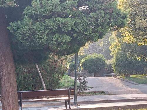 foto9