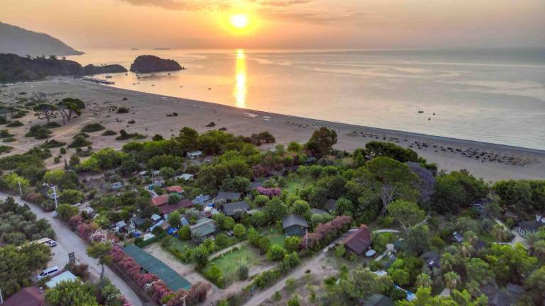 Lovely bungalow | Next to the beach | Pets allowed — photo 4