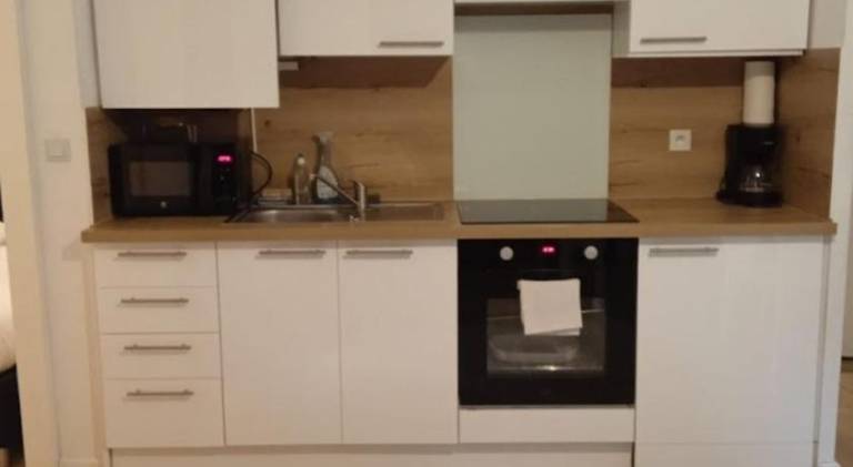 Beautiful apartment | Dogs allowed in Thonon-les-Bains