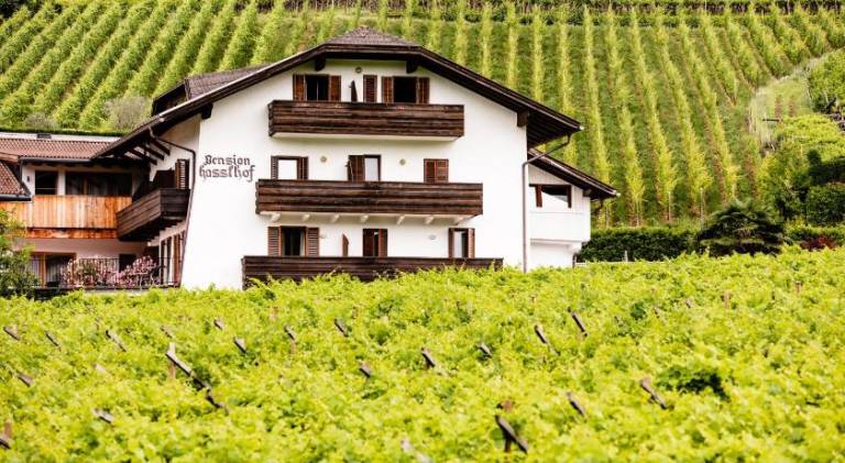 Pension Hasslhof in Caldaro Sulla Strada del Vino