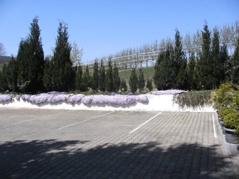 foto17