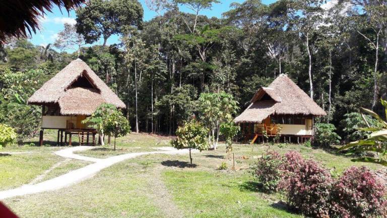 Monte Amazónico Lodge — photo 5