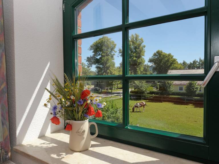 Ferienwohnung Dabitz