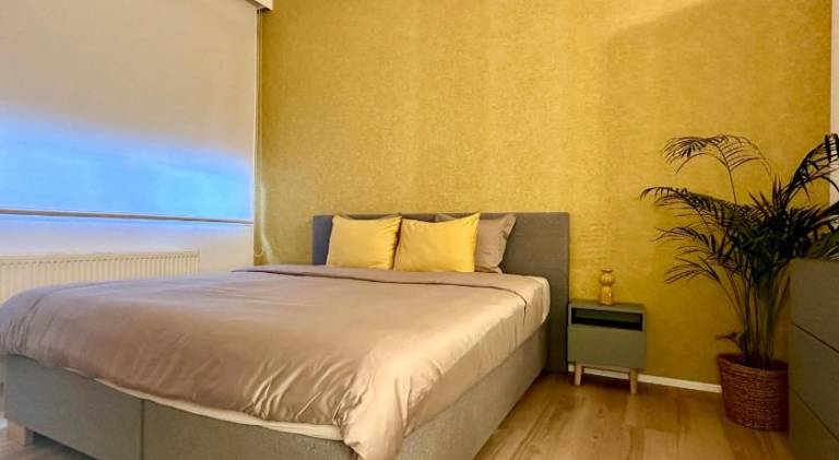 Holiday apartment | Next to Grote Markt | Dogs allowed in Antwerp