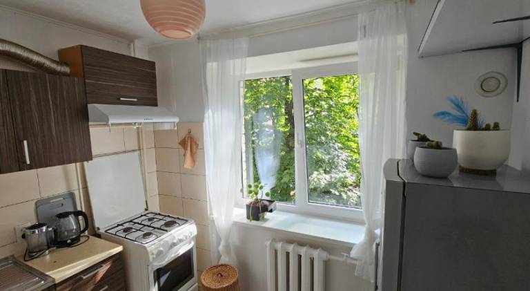 Holiday apartment | Dogs allowed — photo 3