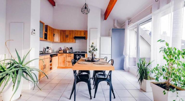 Fully equipped charming apartment with terrace | Perfect for remote work | Dogs allowed in Thonon-les-Bains