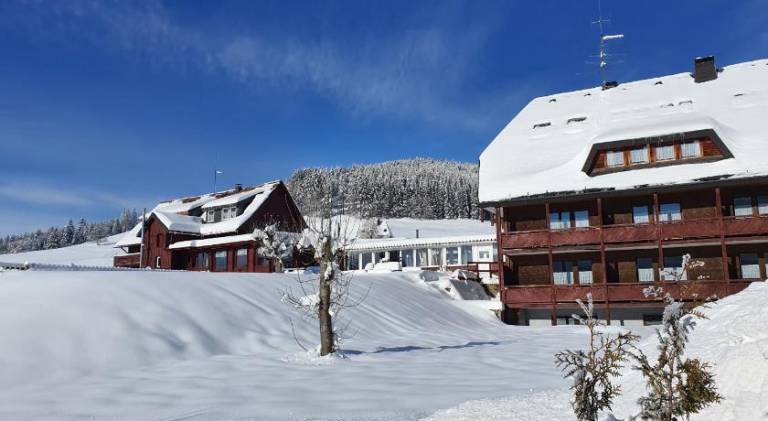 Hotel Sonnenmatte in Titisee-Neustadt