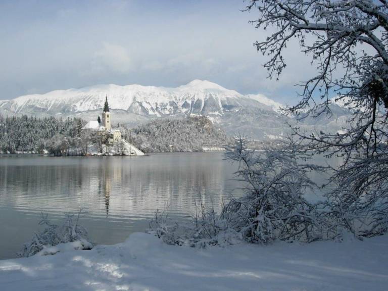 foto42