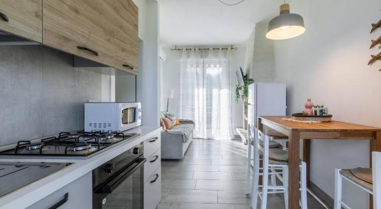 Rental apartment with 1 room for 4 persons in Castelnuovo del Garda