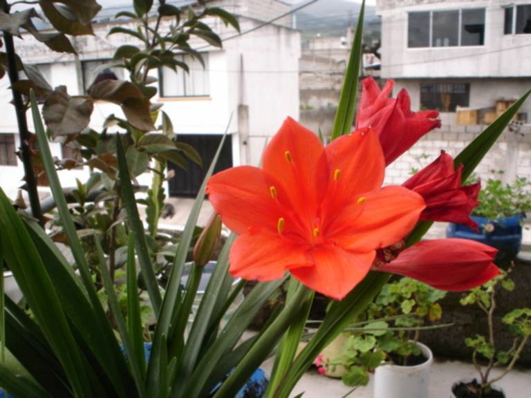 foto7