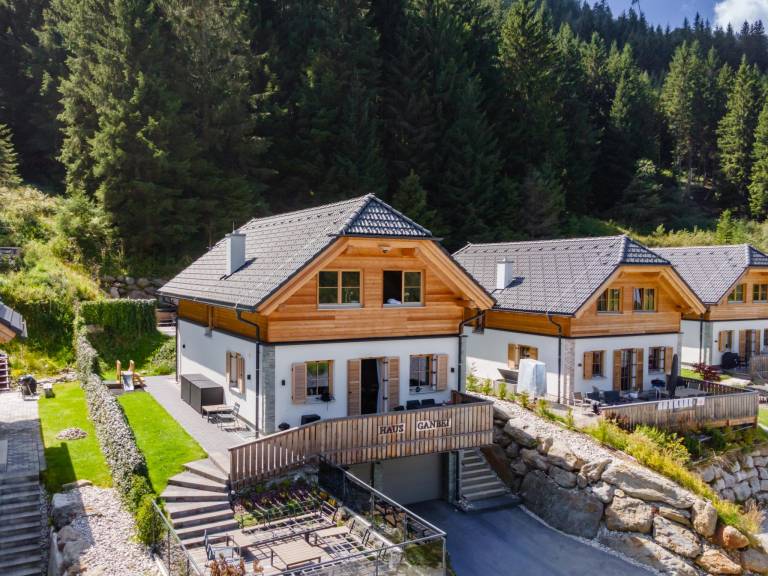 Chalet  Planneralm
