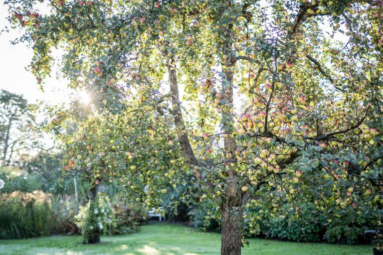 Apartment with barbecue & garden | Garden view — photo 4