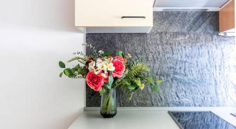 Holiday apartment | Pets are welcome — photo 5