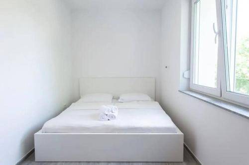 foto11