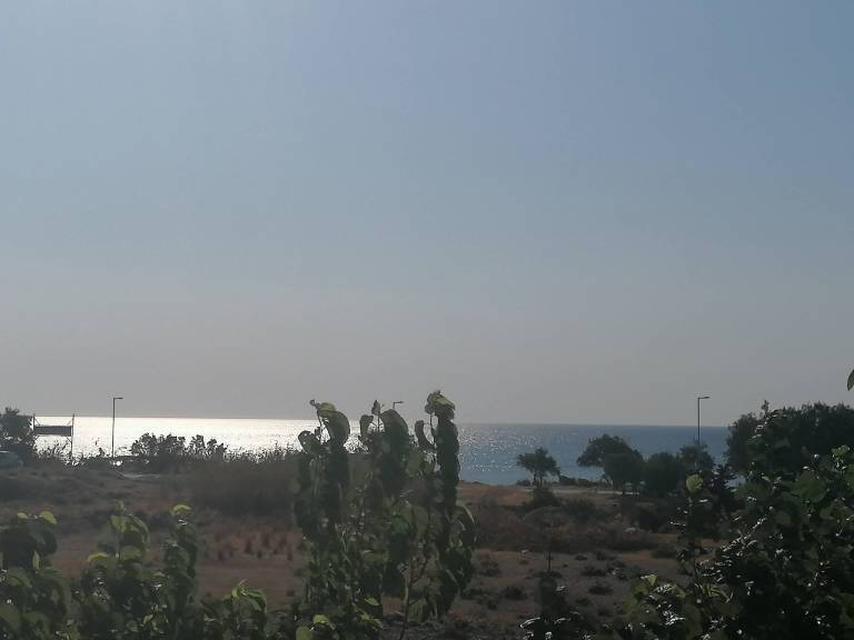 foto3