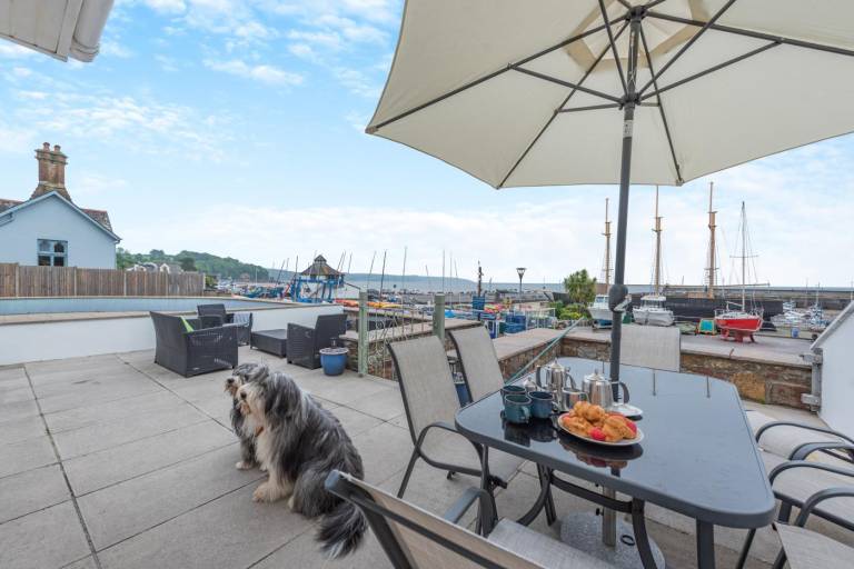 Fully equipped cottage with garden | Water view | Next to the beach | Pets allowed in Tenby