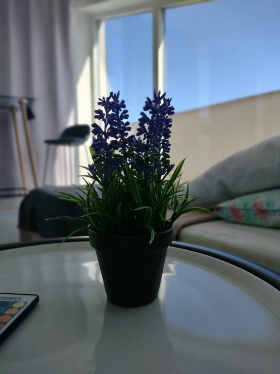 foto35