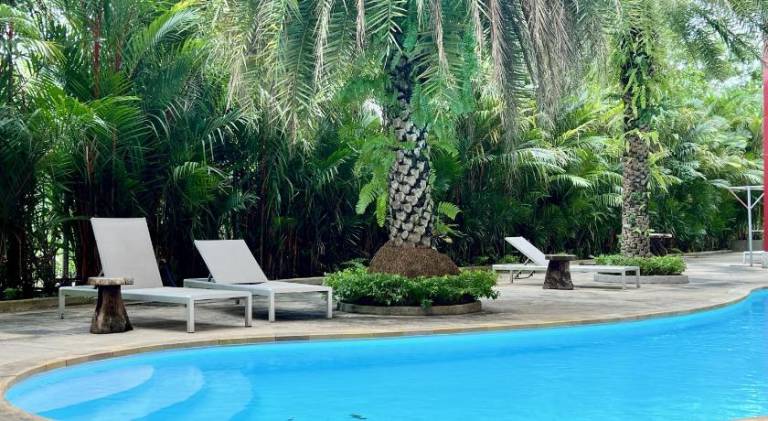 Apartment with pool | Pet-friendly — photo 4