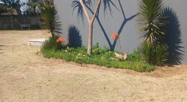 foto12