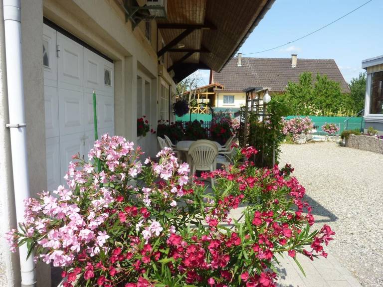 Appartement  Mulhouse