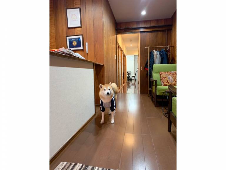 Vacation home | Close to Nijō Castle | Suitable for remote work — photo 2