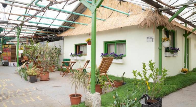 Rastlinky. sk Greenhouse Guestrooms in Bratislava
