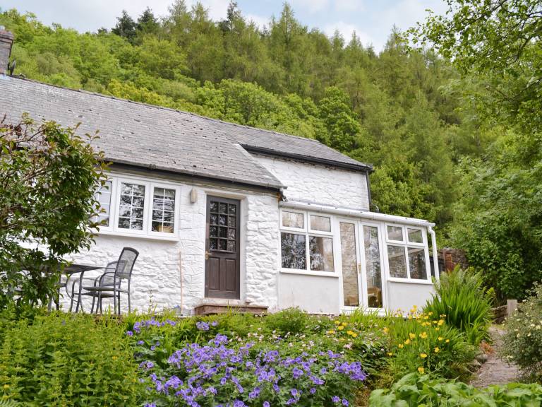 Cottage Llanbadarn Fynydd