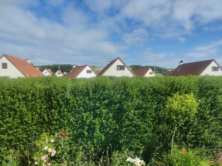 foto21