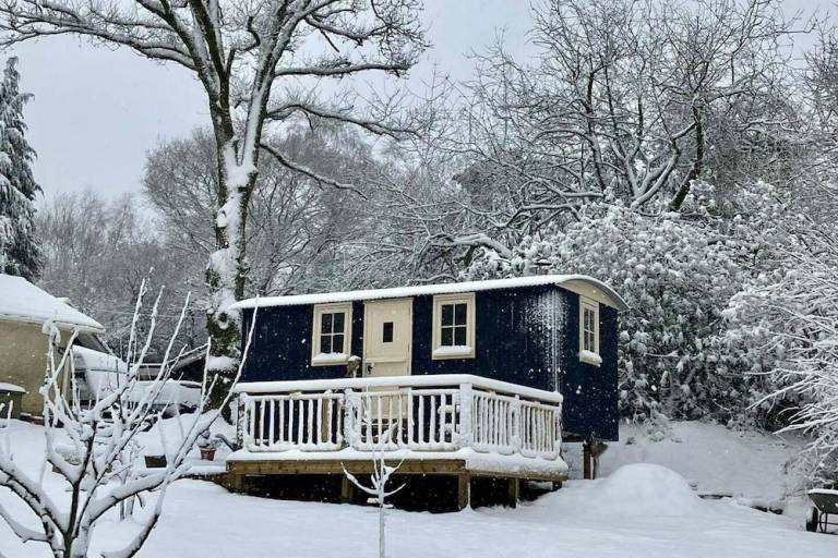 Cabin  Petworth