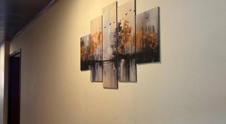 foto8