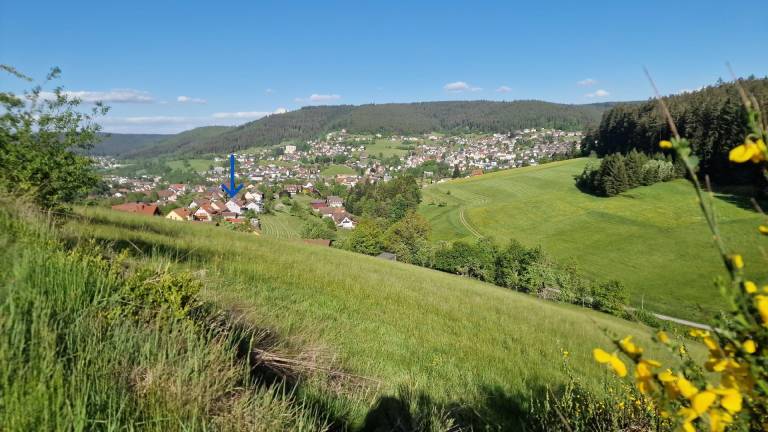 Gemütl sonnige Ferienwohnung Baiersbronn direkt