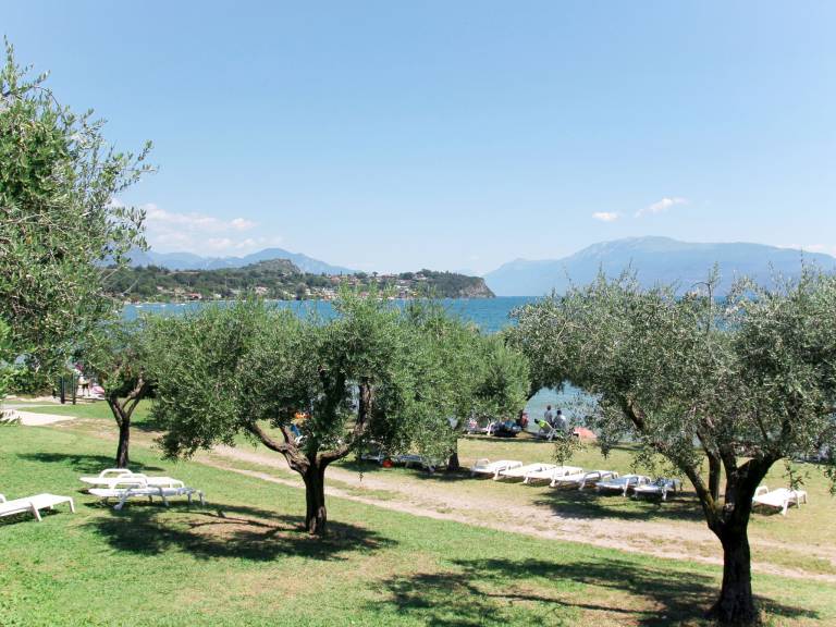 foto19