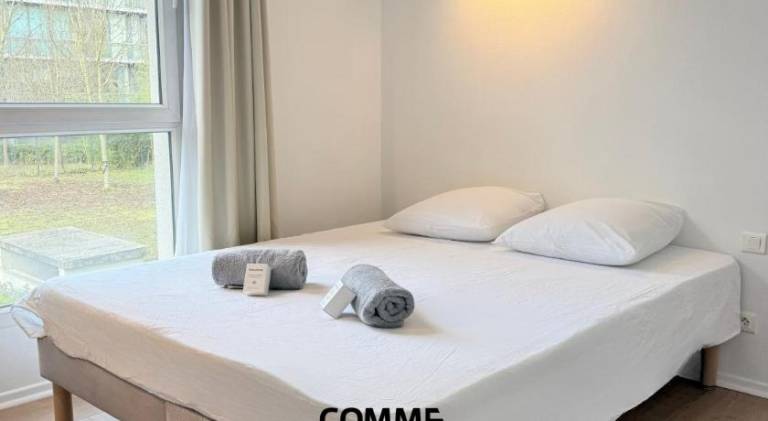 Rental apartment | Dogs allowed in Nancy